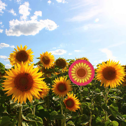 Sunburst Sunflower